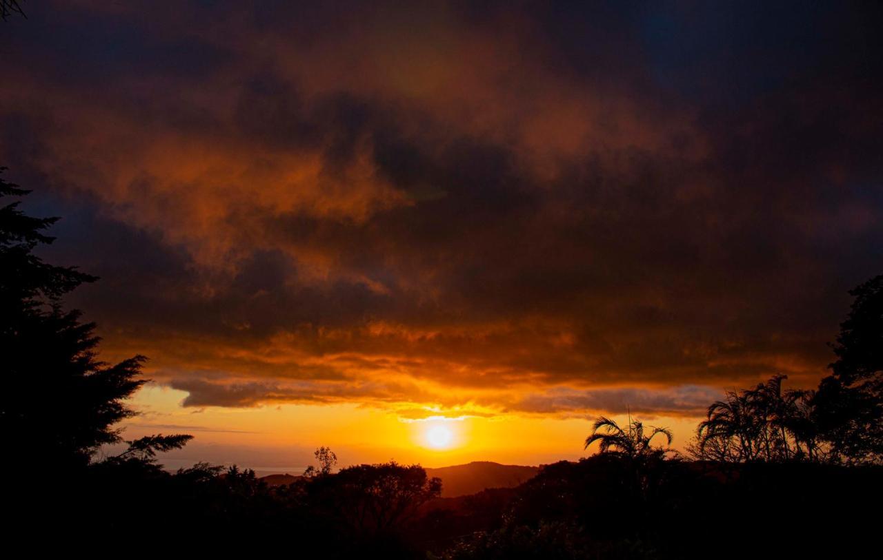 Sunset Monteverde Eksteriør bilde